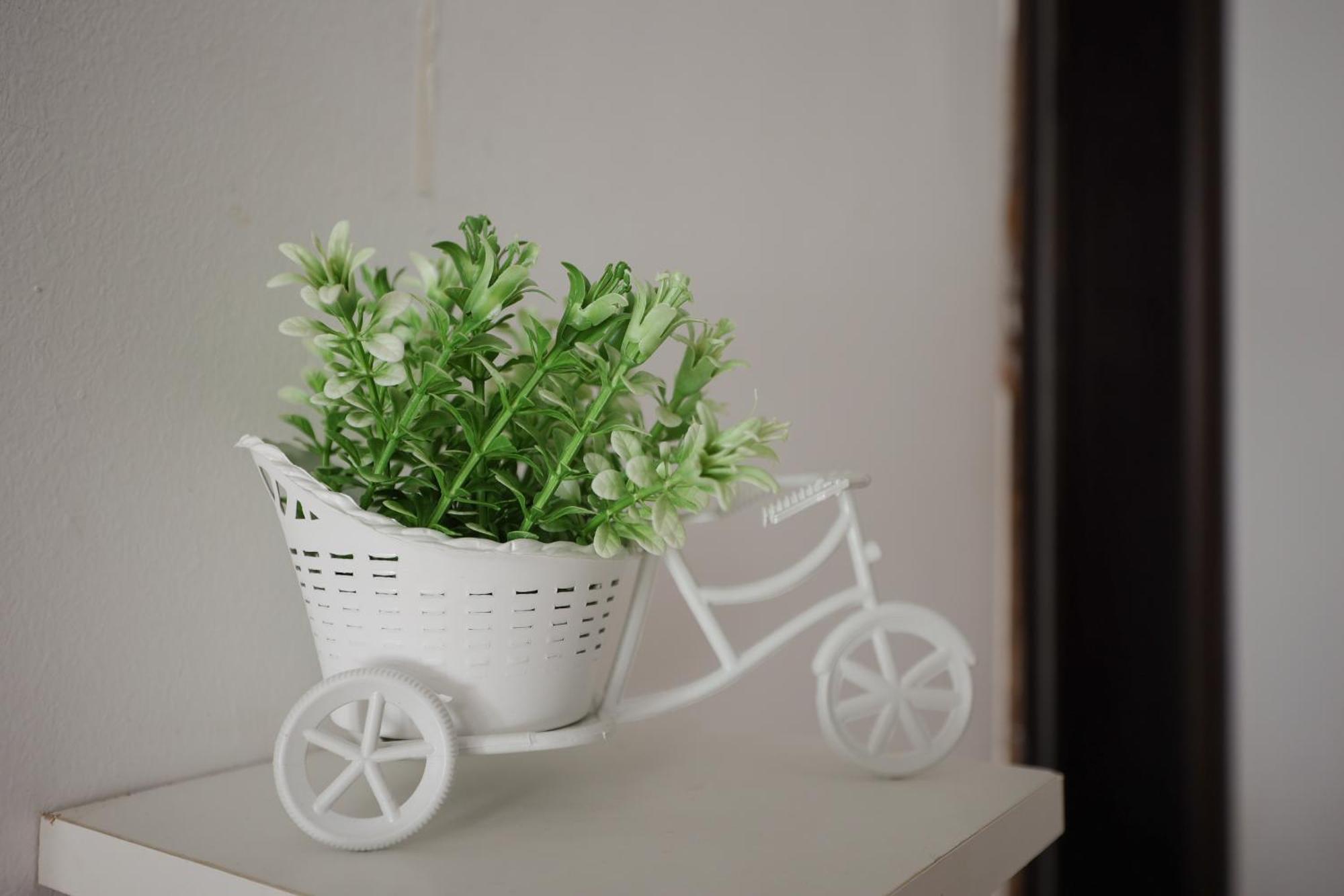 Athos Apartments Dobre Vode โดบราวอดา ภายนอก รูปภาพ